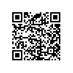 RNC55J2463BSBSL QRCode