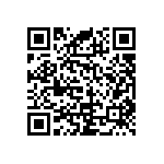 RNC55J2493BSRE6 QRCode