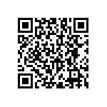 RNC55J2493FSBSL QRCode