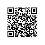 RNC55J2502FSBSL QRCode