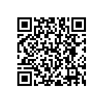 RNC55J2871BSBSL QRCode