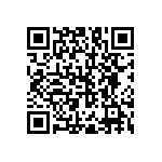 RNC55J2912BSB14 QRCode