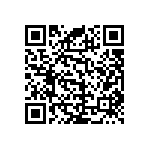 RNC55J3001FSB14 QRCode