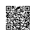 RNC55J3013DSBSL QRCode