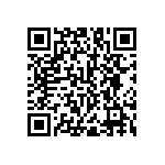 RNC55J3053BSBSL QRCode