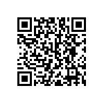 RNC55J3160BSRE6 QRCode