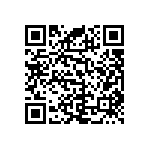 RNC55J3243BPBSL QRCode