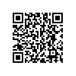 RNC55J3653BSBSL QRCode