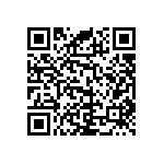 RNC55J3833BSBSL QRCode