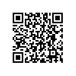 RNC55J4091BSB14 QRCode