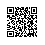 RNC55J4533BSBSL QRCode