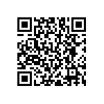 RNC55J6041BSBSL QRCode