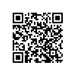 RNC55J6090BSRE6 QRCode