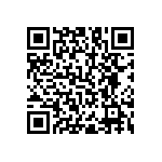 RNC55J60R4BSBSL QRCode