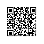 RNC55J60R4FSBSL QRCode