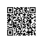 RNC55J63R4BSBSL QRCode