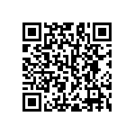 RNC60H3163BSB14 QRCode