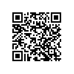 RNC60J5102BSRE6 QRCode