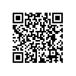 RNCF0201DTE133R QRCode