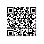 RNCF0402BTC3K09 QRCode