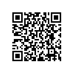 RNCF0402BTC953R QRCode