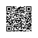 RNCF0402DKE133K QRCode