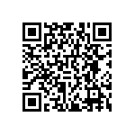 RNCF0402DKE1K30 QRCode