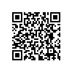 RNCF0402DKE383R QRCode