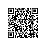 RNCF0402DKE45K3 QRCode