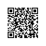 RNCF0402DTE30R9 QRCode