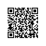 RNCF0402DTE42R2 QRCode