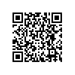 RNCF0402DTE4K99 QRCode