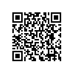 RNCF0402DTE787R QRCode