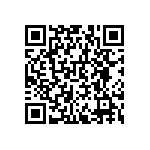 RNCF0603BTE4K53 QRCode