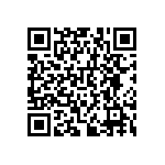 RNCF0603DKE383K QRCode