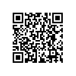 RNCF0603DTE133R QRCode