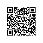 RNCF0603DTE13R0 QRCode