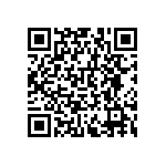 RNCF0603DTE6K04 QRCode