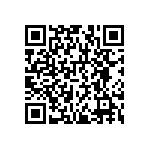 RNCF1206BKE1M13 QRCode