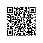 RNCF1206BKE402R QRCode