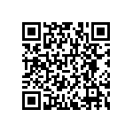 RNCF1206BKE4K87 QRCode