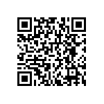 RNCF1206BKE5K11 QRCode