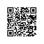 RNCF1206BTE17K8 QRCode