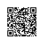 RNCF1206BTE309K QRCode