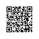 RNCF1206BTE3K48 QRCode