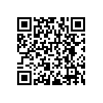 RNCF1206BTE93K1 QRCode