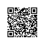 RNCF1206BTE953K QRCode