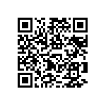 RNCF1206DTE1R13 QRCode