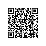 RNCF1210DTC133R QRCode