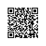 RNCF2512BKE100K QRCode